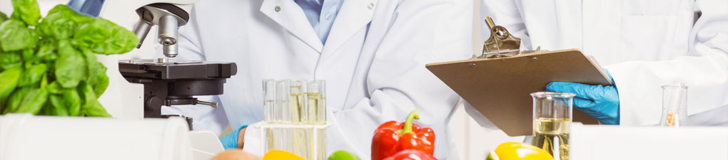 Food Safety Solutions